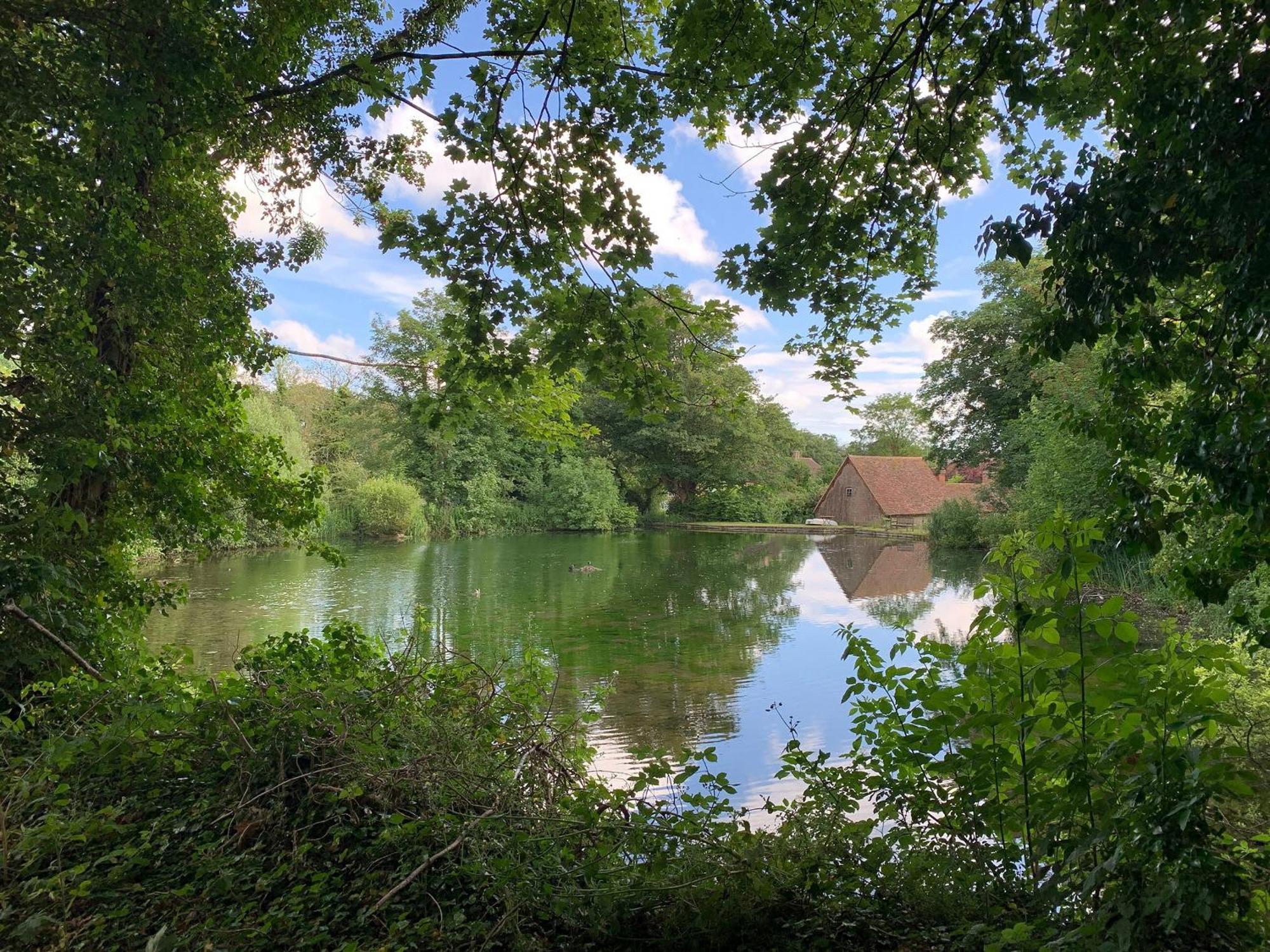 Moorhen Cottage Hollingbourne Екстериор снимка